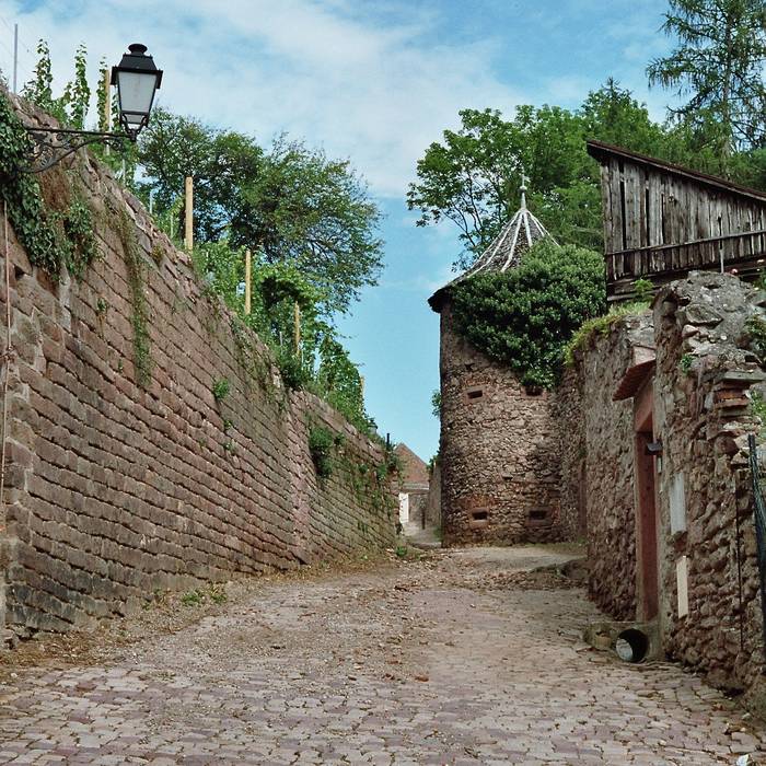 Photo de Château du Girsberg